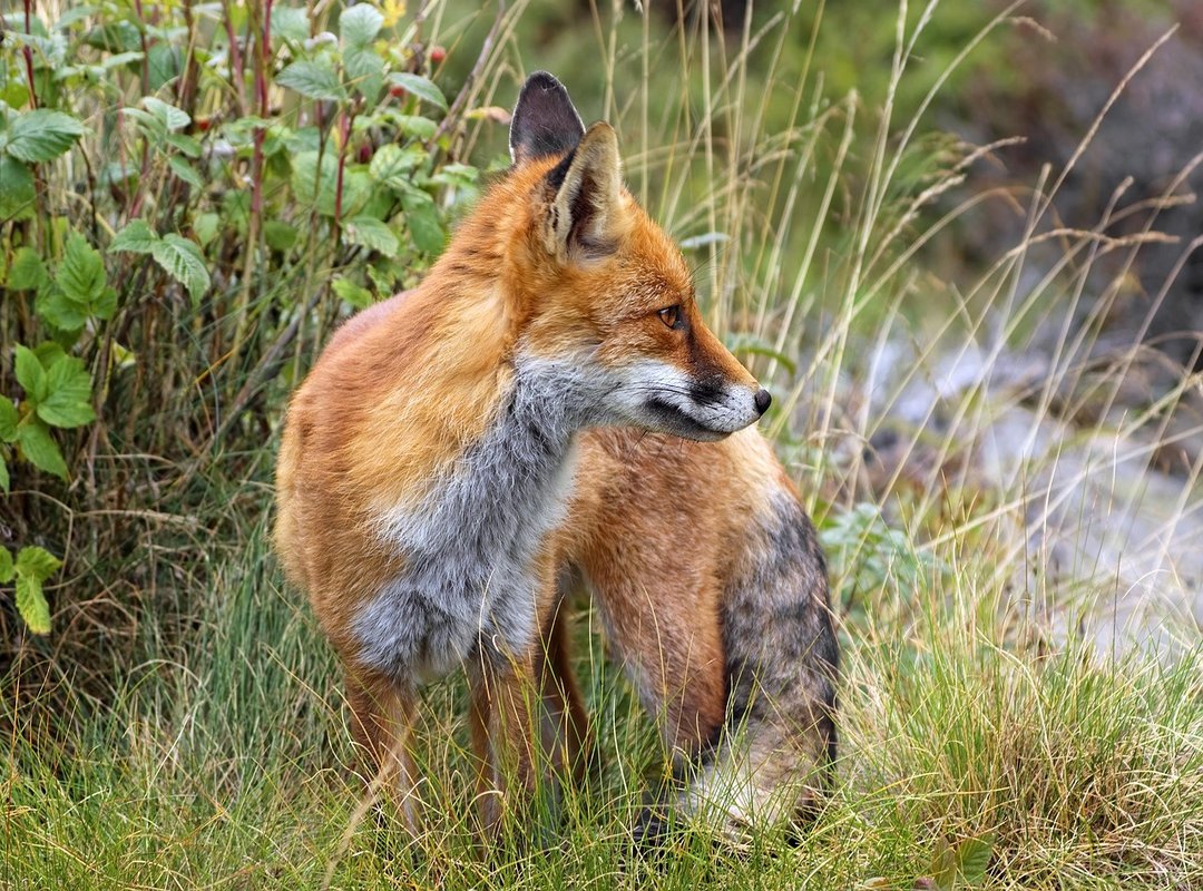 Paxtraveltweaks Offer Expiration