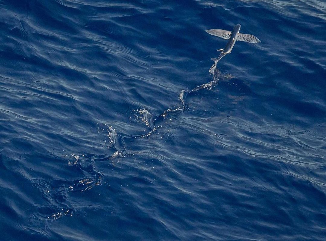 What a Fourth Movie Could Be About: The Book's Controversial Plot