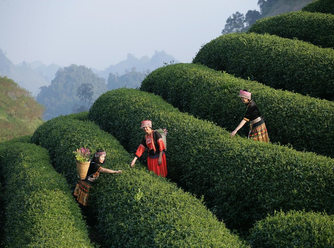 The Best Tech for Your Travel Audio Experience