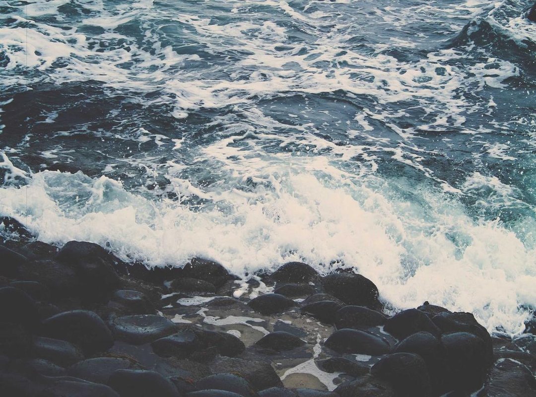 Urban Jungles: Capturing an Edgy Vibe in the City