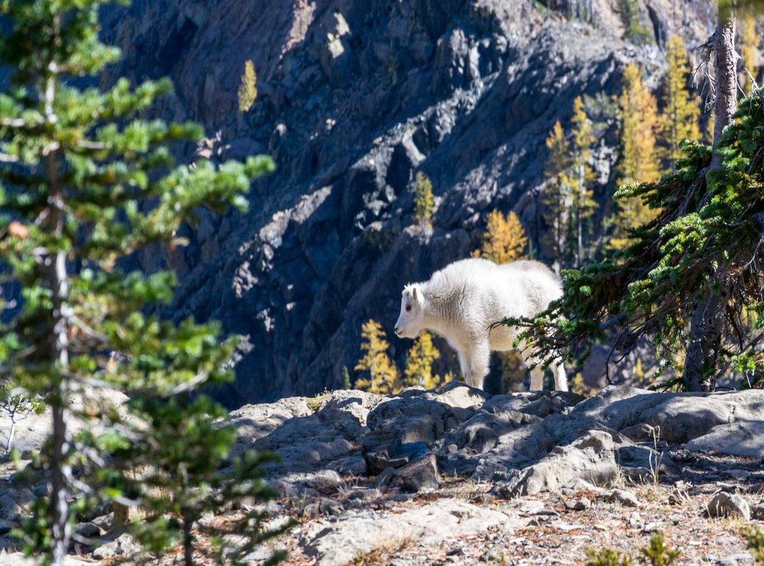 Why Your Search Was So Confusing: Breaking Down the Phrase