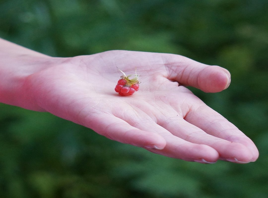 How to Ensure You're Getting the Highest Quality Audio