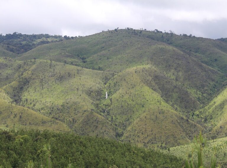 drake.video pfp