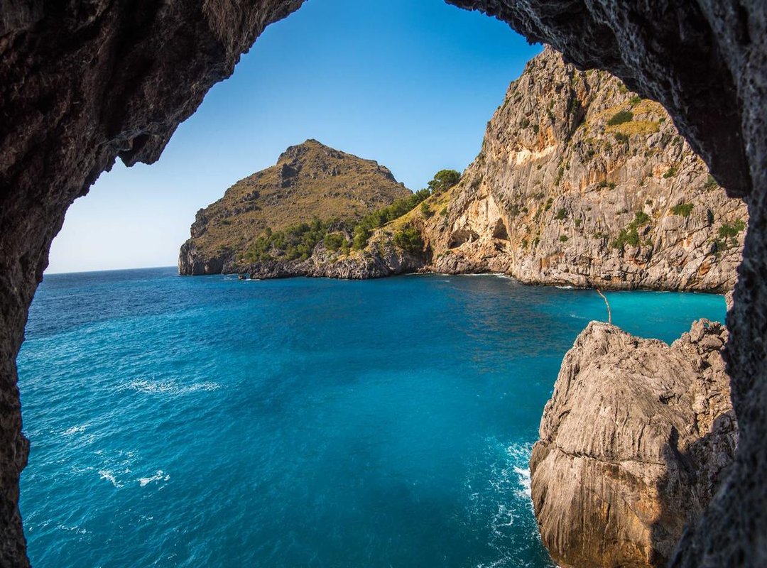 The Emotional Connection: Why We Are Drawn to Tragic Figures