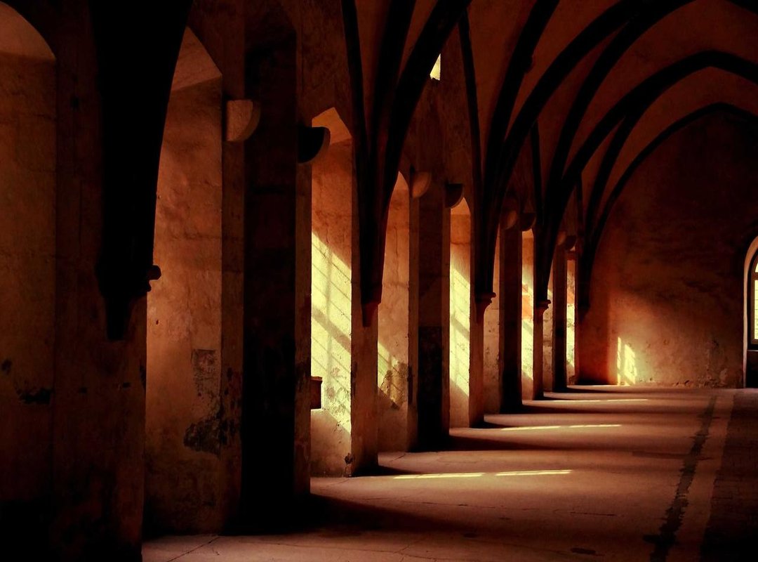 Mastering the Pose: Angles and Composition That Work