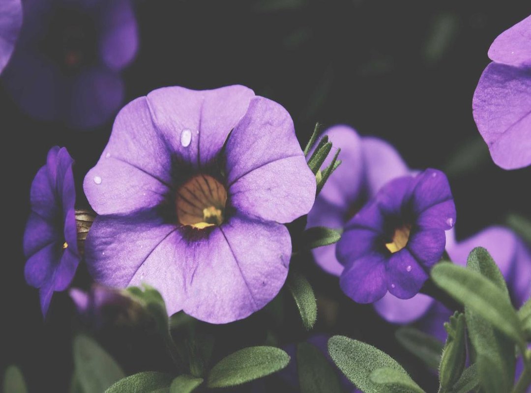 The Pros and Cons: A Realistic Look at Using Kits.ai