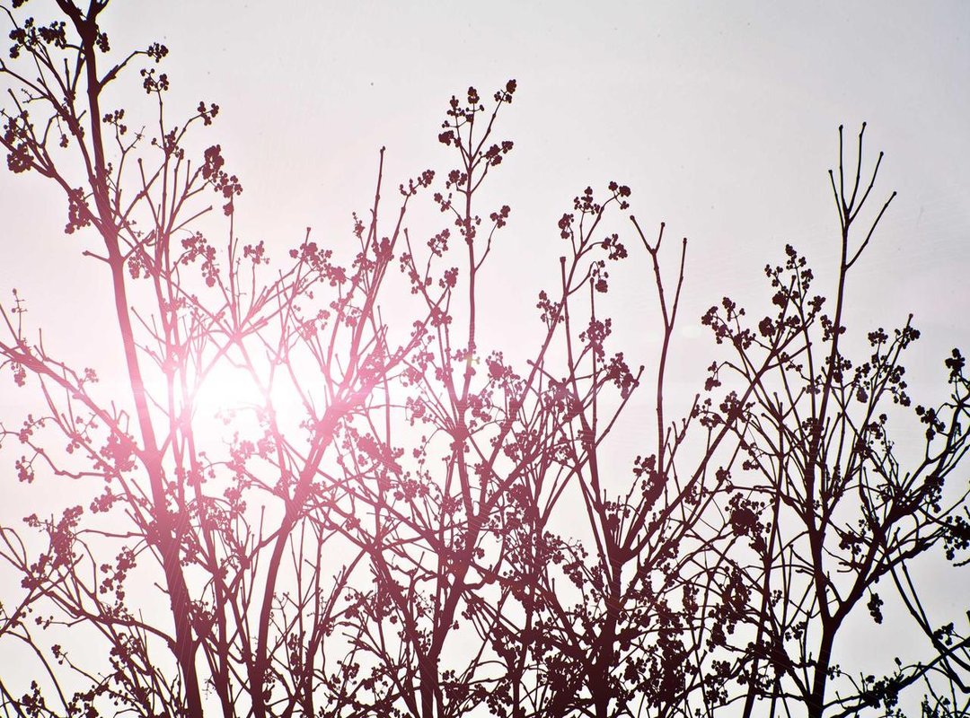 Getting the Most from Her Feed: A Quick Action Plan