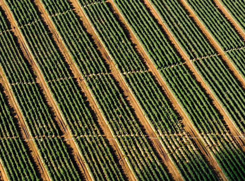 lookmovies2.to legit