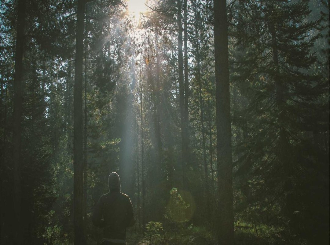 How to Interpret His Analysis (The Smart Way)