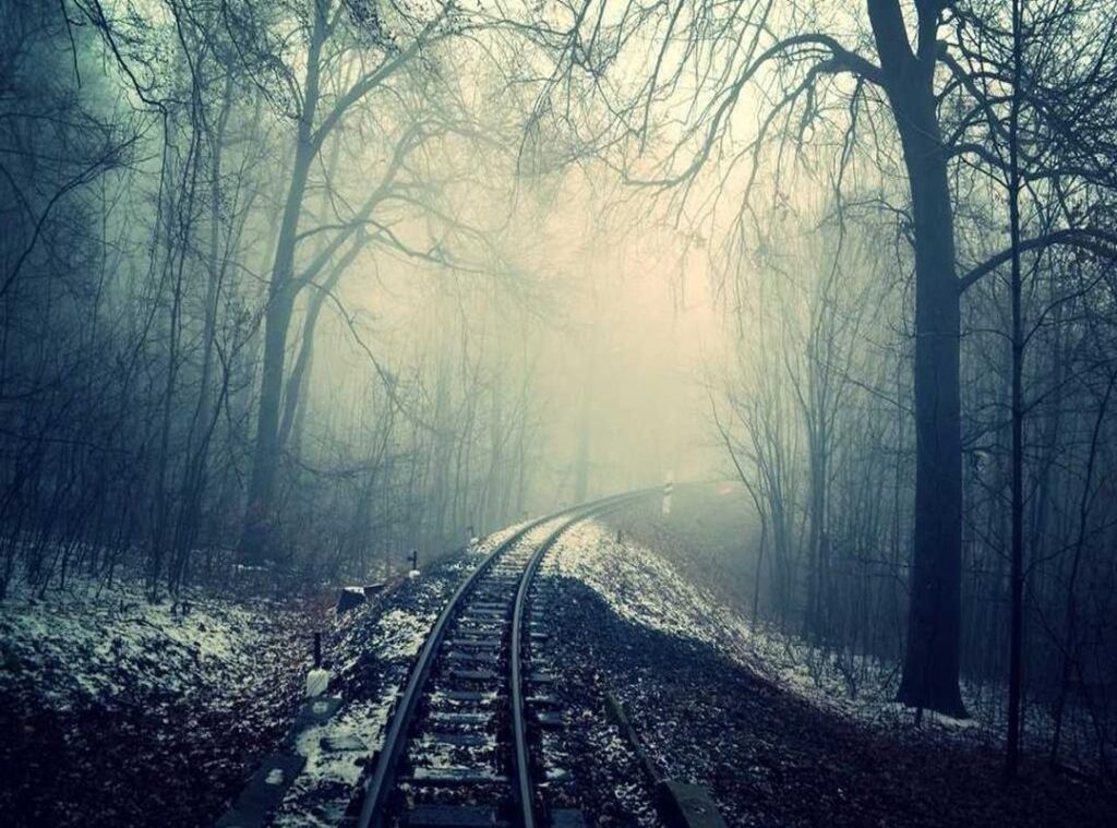 terabox syamimifzain