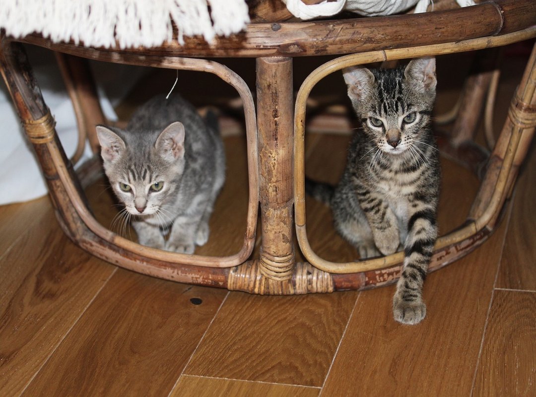 The Hidden Stats That Decided the Game